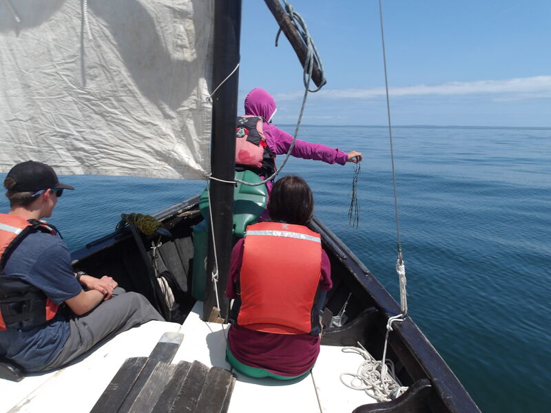 The image shows three people on a sailboat. One person is wearing a pink jacket and is holding something in their hand. The other two people are wearing life jackets. The boat is on the water, and the sky is blue.